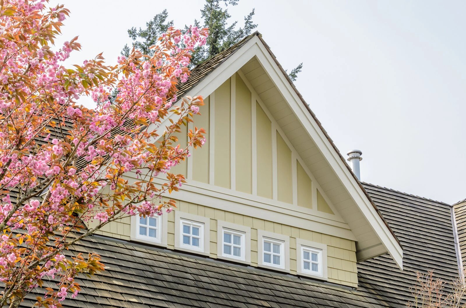 The Complete Guide to Siding Maintenance by Material for Long Lasting Protection